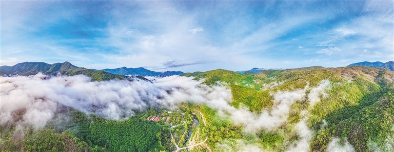 生態(tài)與發(fā)展的平衡 海南熱帶雨林國(guó)家公園文旅項(xiàng)目規(guī)劃解析